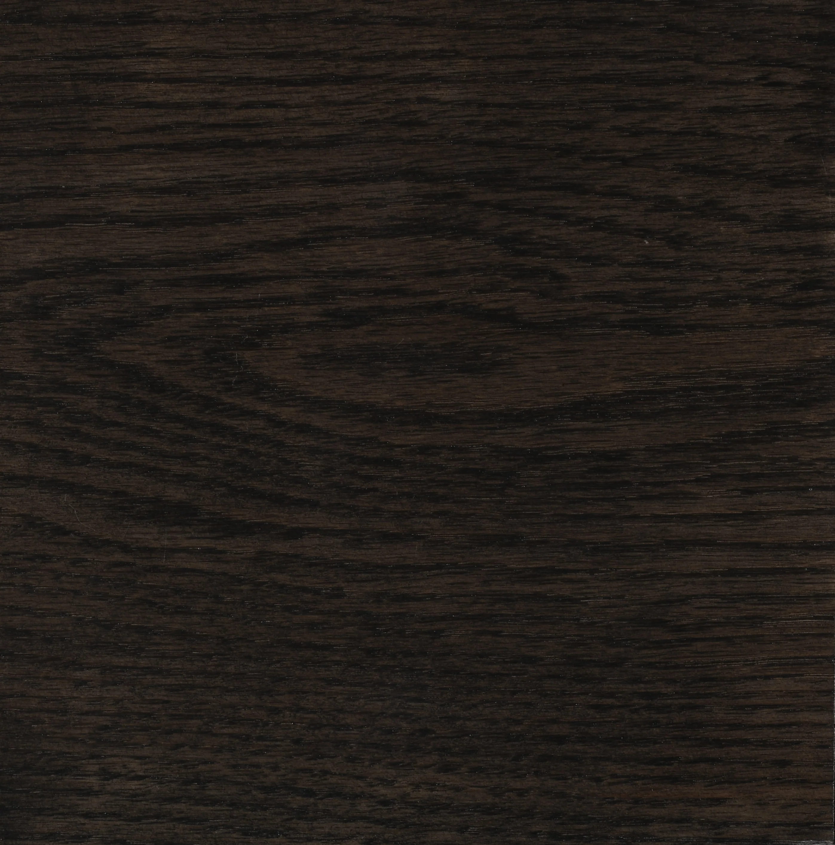 Dark Knight on Oak